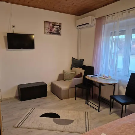 Abszolut Panzio 3*